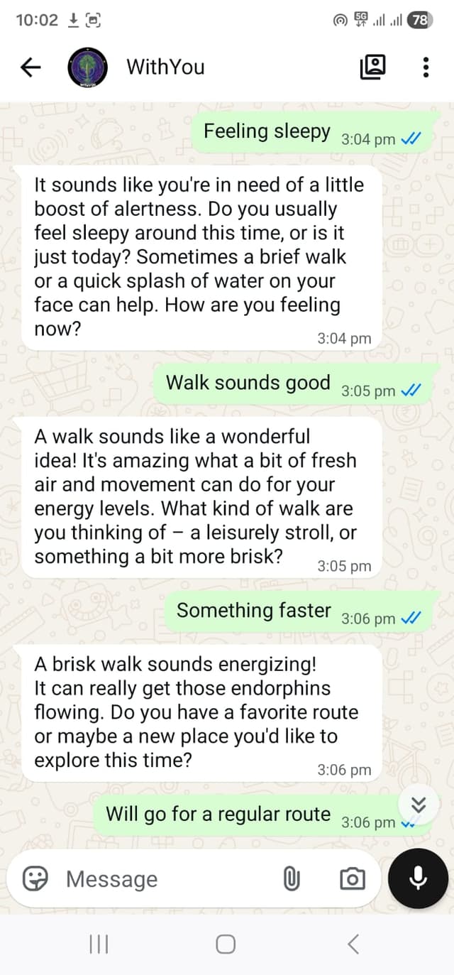 Previous Chat